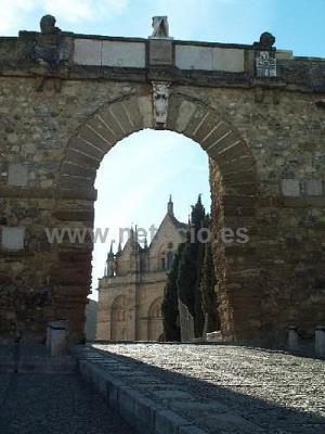 COLON ANTEQUERA