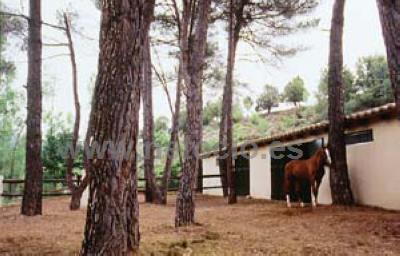 BALNEARIO DE MANZANERA EL PARAISO