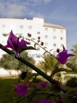 HOLIDAY INN EXPRESS SAN LUIS