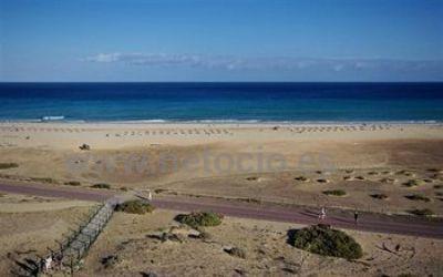 IBEROSTAR PALACE FUERTEVENTURA